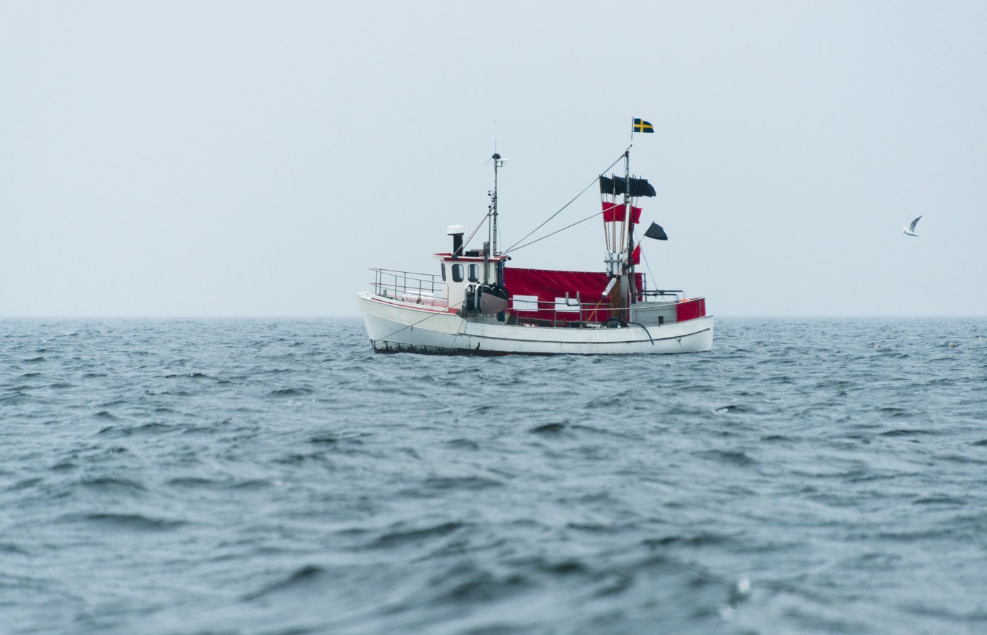 Fiskebåt på havet.