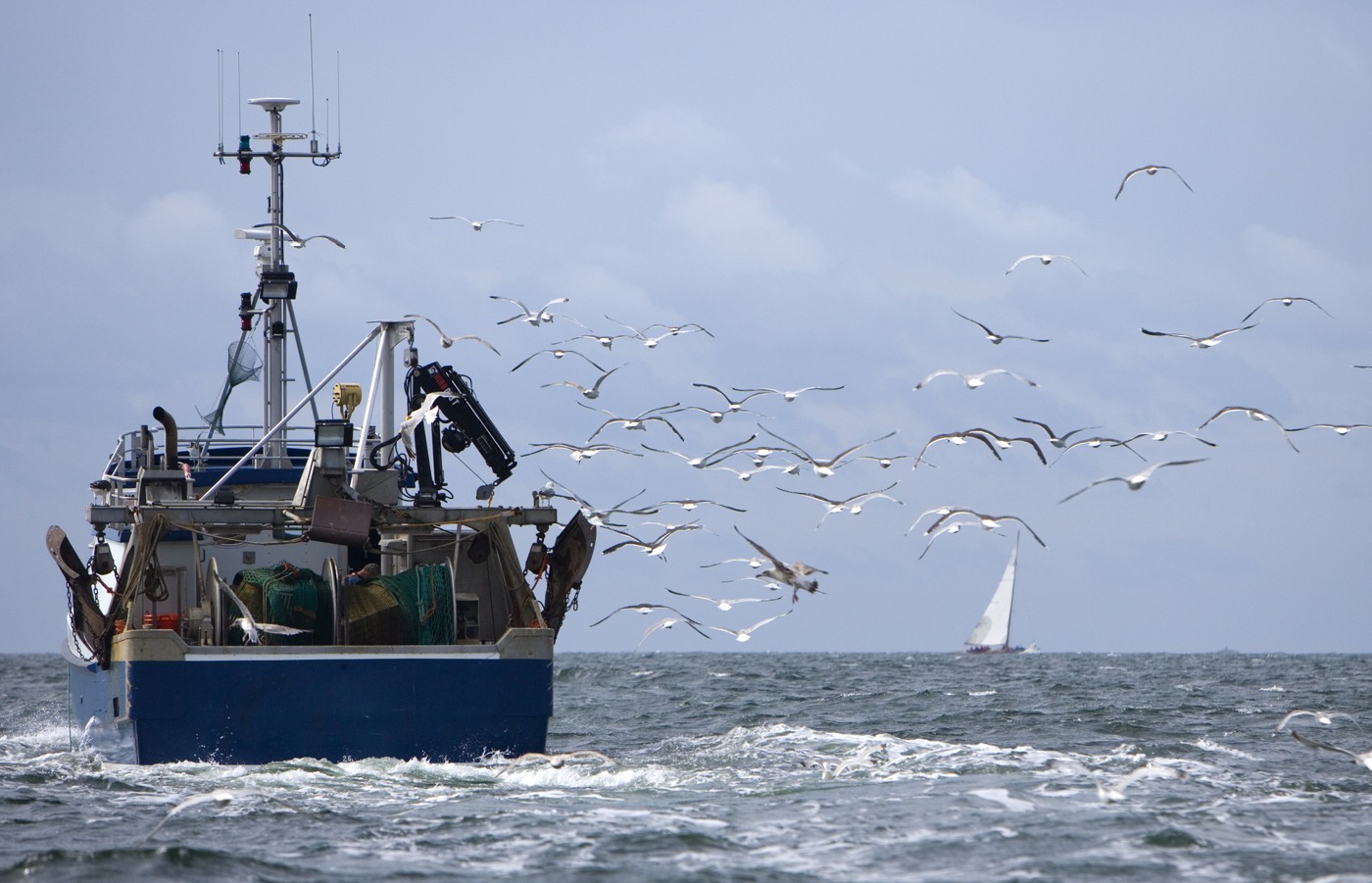 Fiskebåt till havs med sjöfåglar som flyger runt den.