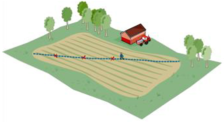 Illustration som visar ett fält med en diagonal linje. En lantbrukare kontrollerar angrepp på plantor utmed linjen.
